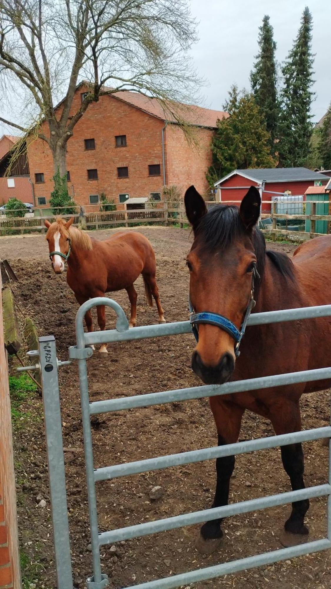 Apartmán Wohnen Auf Dem Bauernhof Laatzen Exteriér fotografie